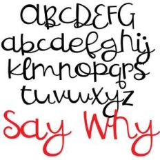 zp say why