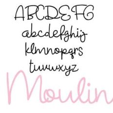 zp moulin