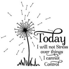 today i will not stress dandelion quote