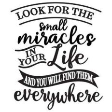 look for small miracles