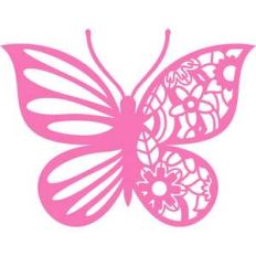 butterfly flowers