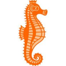 seahorse