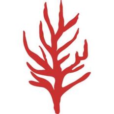 coral