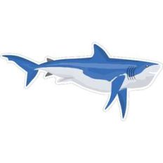 shark