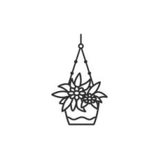 hanging plant