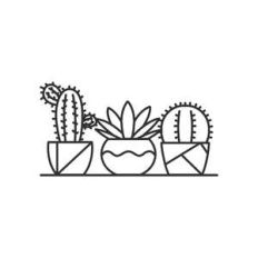plants