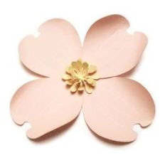 dogwood