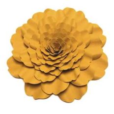 marigold