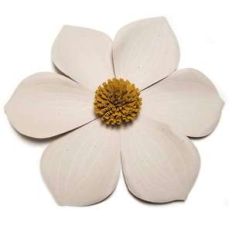 pacifica dogwood