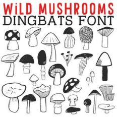 cg wild mushrooms dingbats