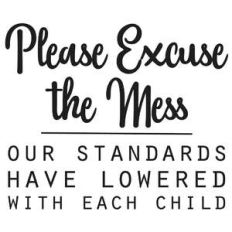please excuse the mess funny quote