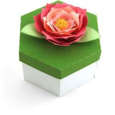 hexagon box with dahlia