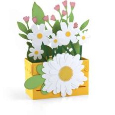 box card crate spring flower
