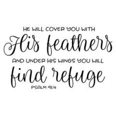he will cover you with his feathers