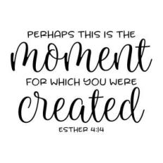 perhaps this is the moment for which you were created