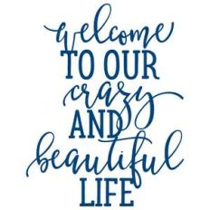 welcome to our crazy and beautiful life