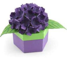 hexagon box with hydrangea