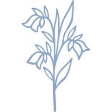 bluebell