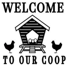 welcome to our coop