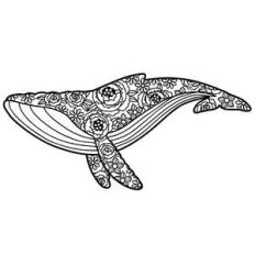 humpback whale floral mandala