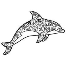 dolphin floral mandala