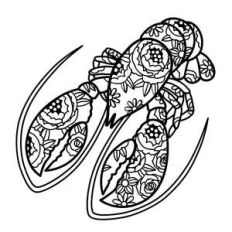 lobster floral mandala