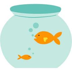 fish bowl