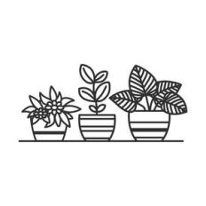 plants