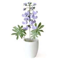 3d wild lupine flower