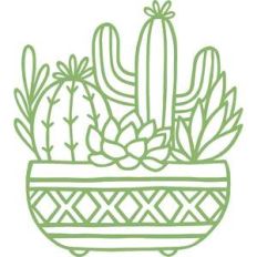 succulent planter