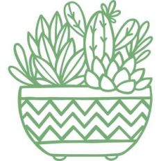 succulent planter