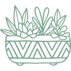 succulent planter