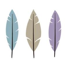 feathers