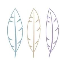 feathers