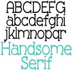 pn handsome serif