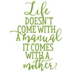 life doesn't come with a manual