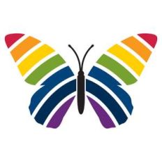 rainbow butterfly