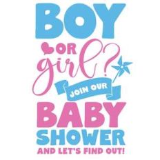 boy or a girl  baby shower
