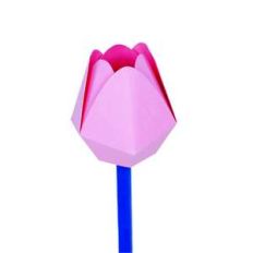 tulip 3d
