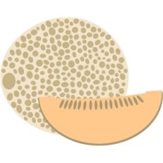 cantaloupe