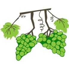 grapes