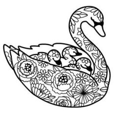 mother swan with babies floral mandala