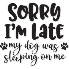 sorry i'm late my dog was sleeping on me