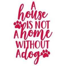 a house is not a home without a dog