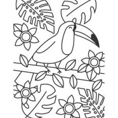 toucan coloring page