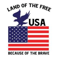 usa land of the free because of the brave