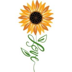 love sunflower