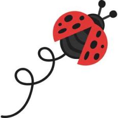 flying ladybug