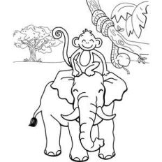 safari coloring page