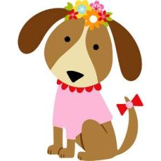 dog with sweater